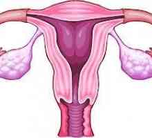 Ovariálne mŕtvice - príznaky, liečba, tehotenstvo po vaječníkov mŕtvice
