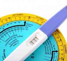 Ako určiť dĺžku ovulácie