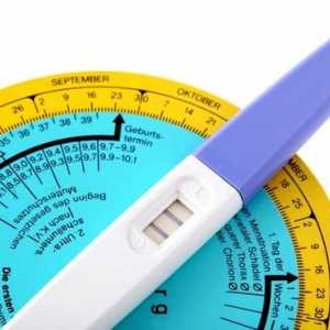 Ako určiť dĺžku ovulácie