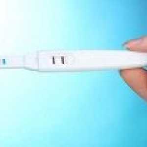 Mohol by to byť ovuláciu v priebehu tehotenstva?