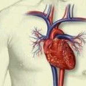 Obnova srdcového tkaniva po infarkte myokardu